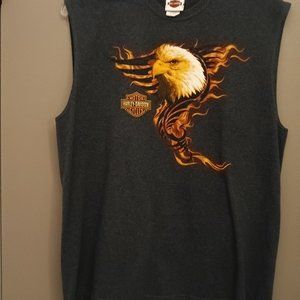 Mens dark gray southern thunder hd sleeveless shirt